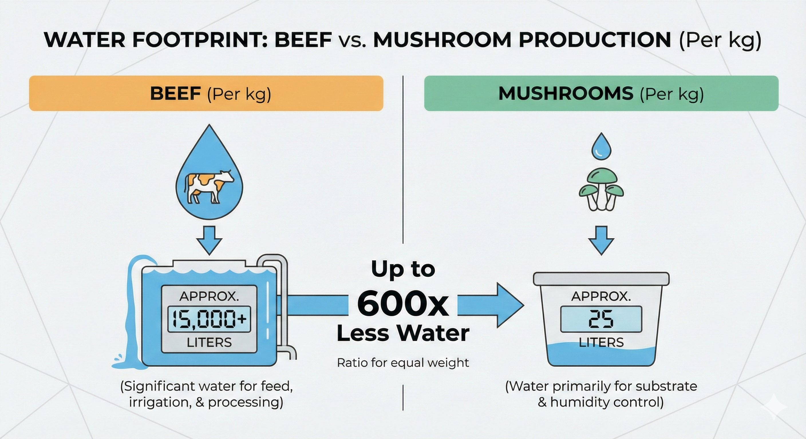 Cultivo de setas vs ganadería: menos agua, menos tierra y alta densidad nutricional, imagen 6