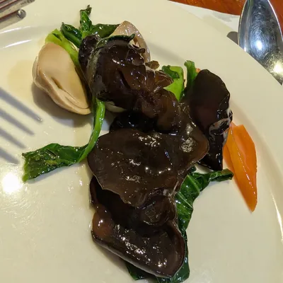 Oreja de Judas (Auricularia auricula-judae), foto