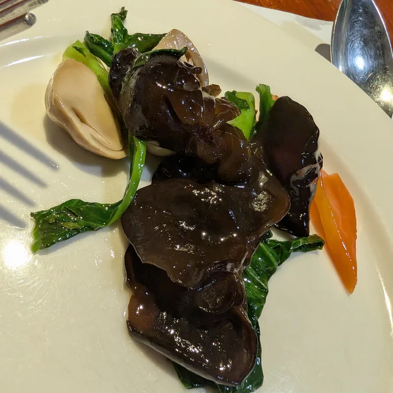 Oreja de Judas (Auricularia auricula-judae), foto