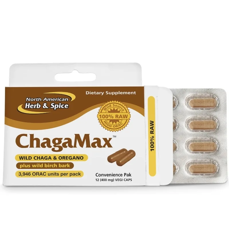 chaga (Inonotus obliquus), rasgos para identificarlo