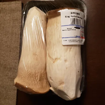 Seta de cardo (Pleurotus eryngii), foto