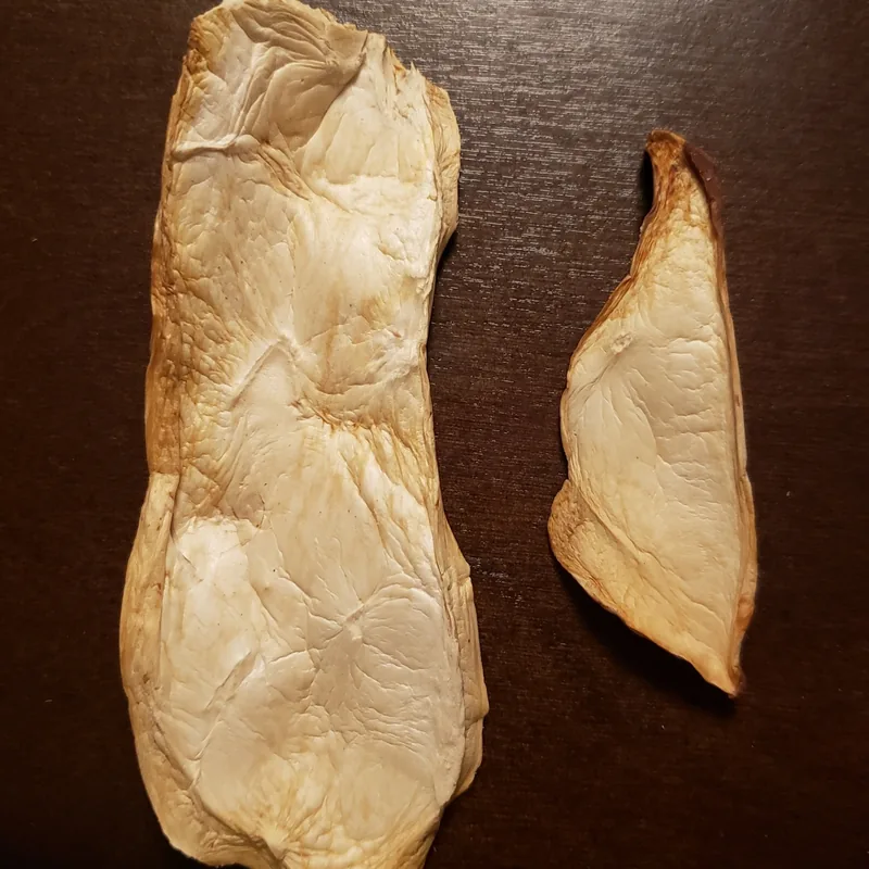 Seta de cardo (Pleurotus eryngii), rasgos para identificarlo